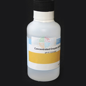 Concentrated Enzyme Buffer Ph 2.8